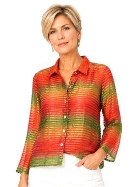 Scott Taylor Sheer Stripe Ombre Blouse